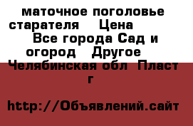 маточное поголовье старателя  › Цена ­ 3 700 - Все города Сад и огород » Другое   . Челябинская обл.,Пласт г.